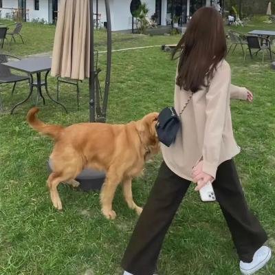 芒果传媒APP界面